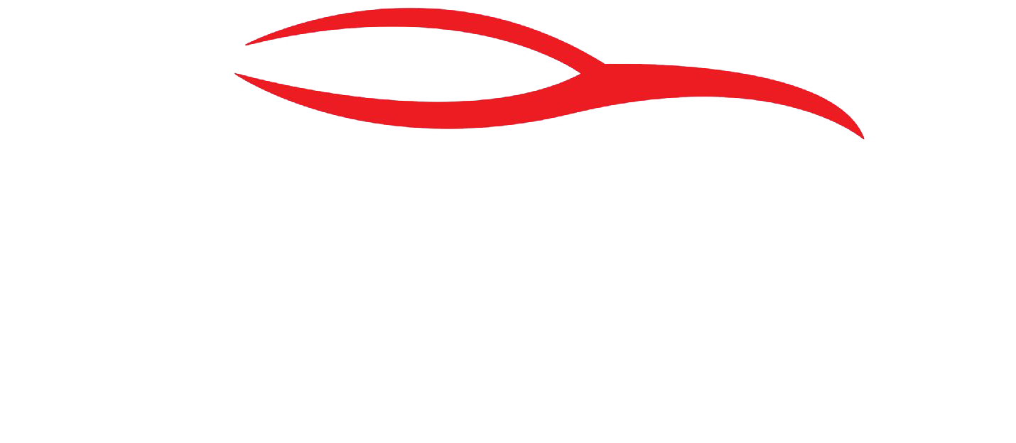 Avada Car Dealer Logo